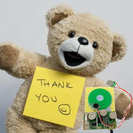 Module sain enregistrable musical pour le certificat de la CE d'OEM de carte de voeux de DIY 6