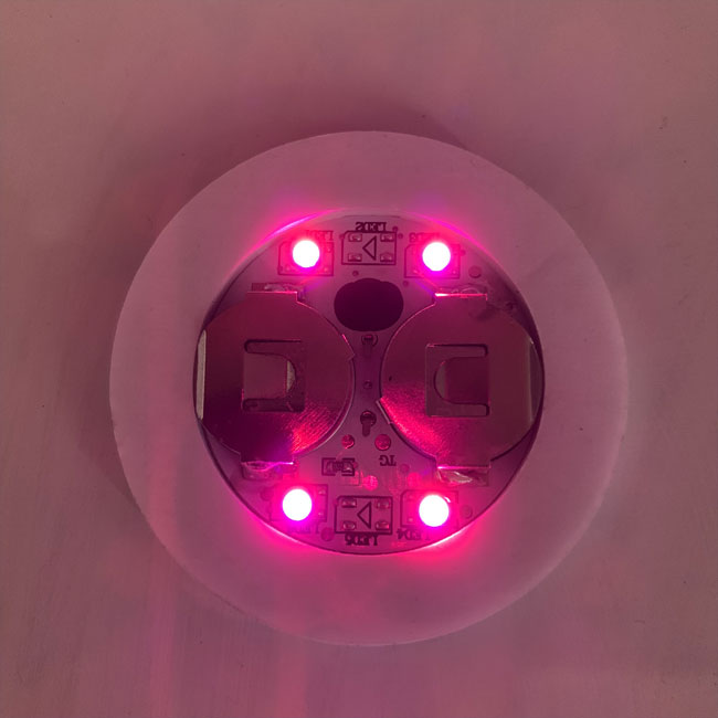 L'autocollant de la bouteille LED de caboteur allume l'ODM avec le matériel de carte PCB de la batterie 2×CR1220 1