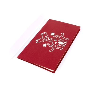 Bruit Valentine Cards, certificats d'OEM 3D de FCC d'impression offset de carte de voeux 3D