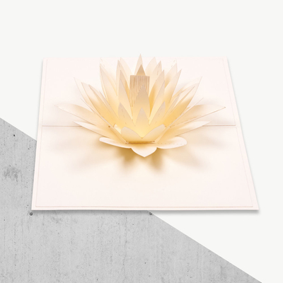 Bruit de l'impression offset 3D des certificats de FCC de la CE ROHS de Lily Shape de l'eau blanche de carte de voeux